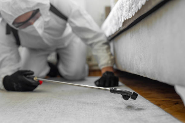 Professional Bed Bug Control technician working in Redmond, WA