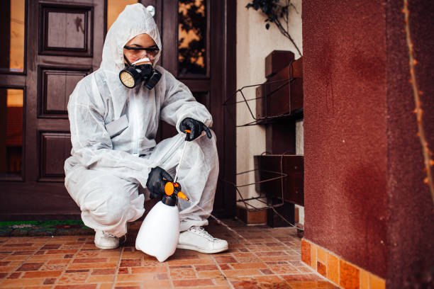 Reliable Bed Bug Control contractor in Redmond, WA by Nex Pest Control