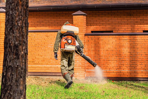 Trusted Cockroach Control service in Redmond, WA - Nex Pest Control